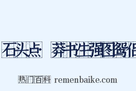 石头点·莽书生强图鸳侣是什么意思的图片